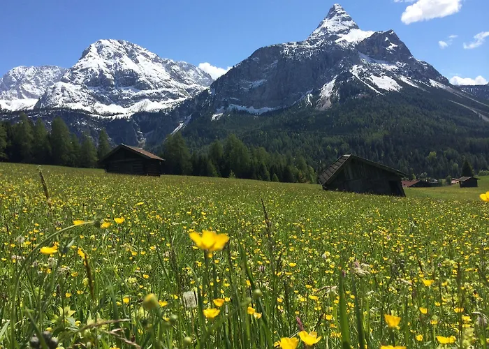 Spielmann Έρβαλντ